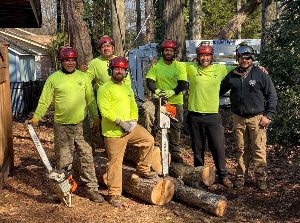 Tree Service Fountain Inn