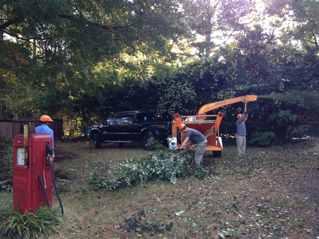 Storm Damage, Tree removal, Charlotte, NC