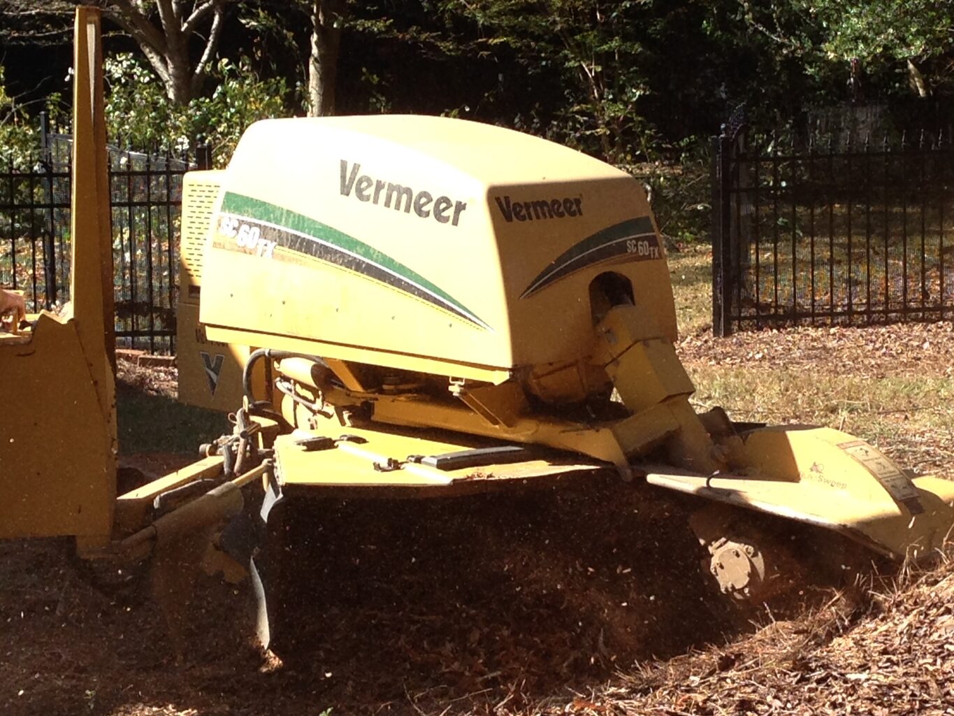 Stump Removal Charlotte
